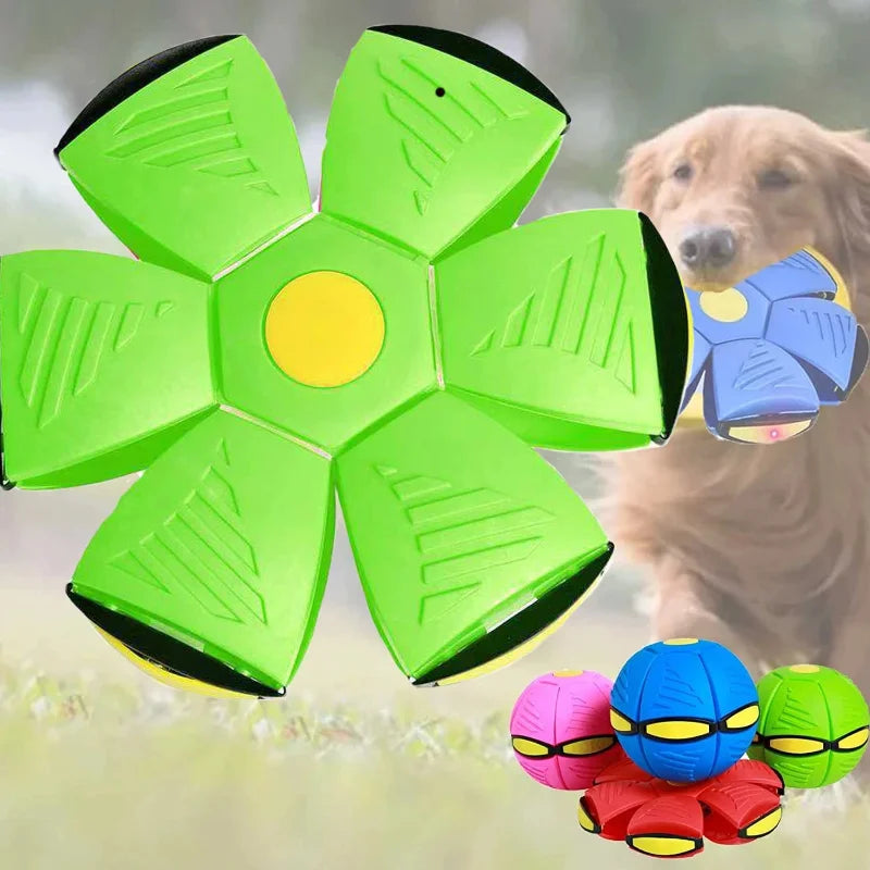 Transformable Dog Flying Disc Ball