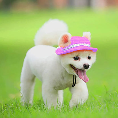 Cutest Paws & Whiskers Sun Shield Hat