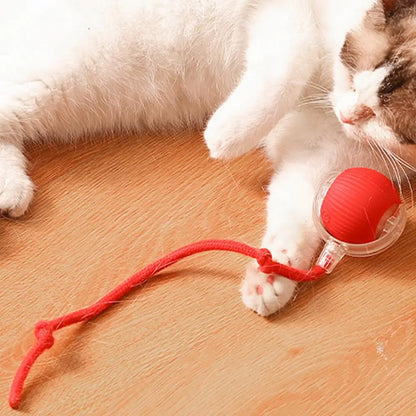 Purrfect  Spin Smart Cat Ball