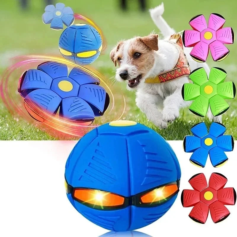 Transformable Dog Flying Disc Ball