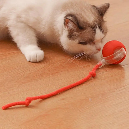 Purrfect  Spin Smart Cat Ball