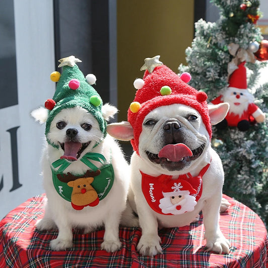 Festive Pet Santa Outfit Set