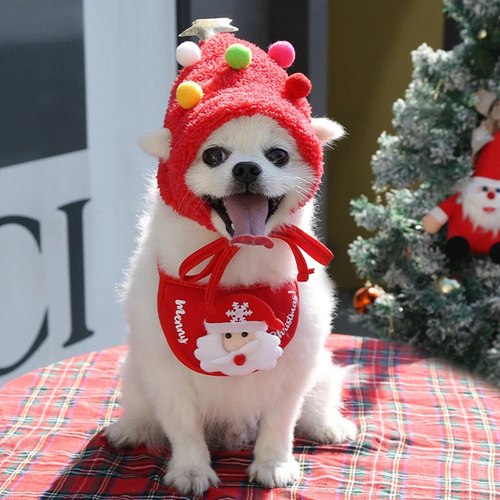 Festive Pet Santa Outfit Set