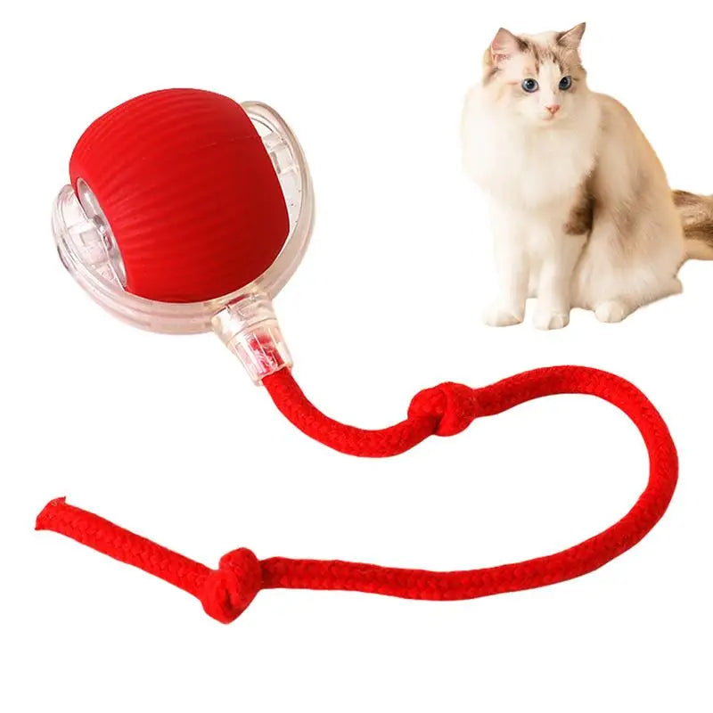 Purrfect  Spin Smart Cat Ball