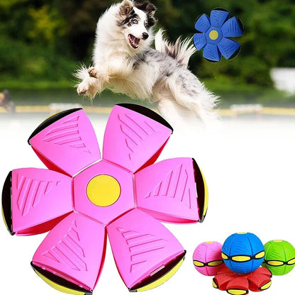 Transformable Dog Flying Disc Ball