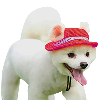 Cutest Paws & Whiskers Sun Shield Hat